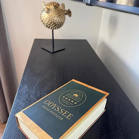 Semesterbostad Enkhuizer Beachhouse Odyssee Nr 513